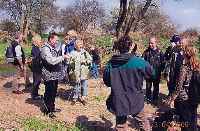 Foto: Wanderung auf den Spuren der Elbebiber